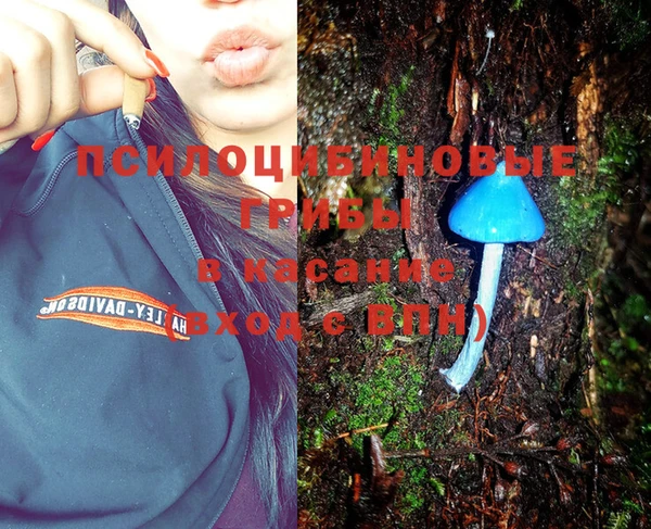 молекула духа Зеленокумск