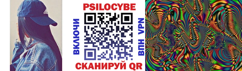 цены   Инта  Псилоцибиновые грибы Psilocybe 