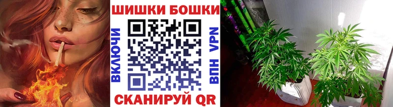 сколько стоит  Инта  Бошки Шишки AK-47 